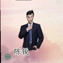 陈锐